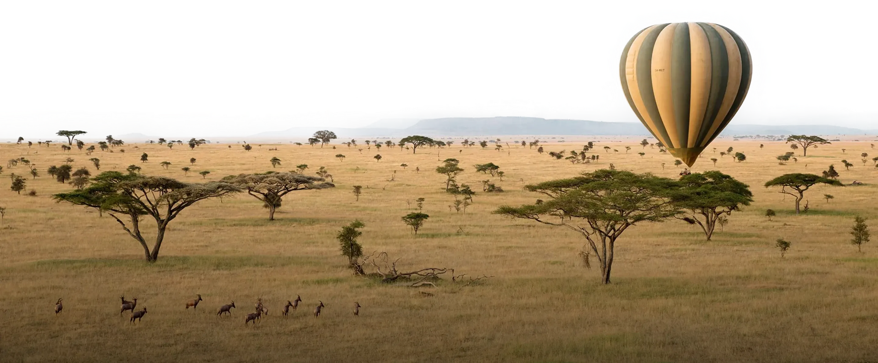 travel-africa-journey