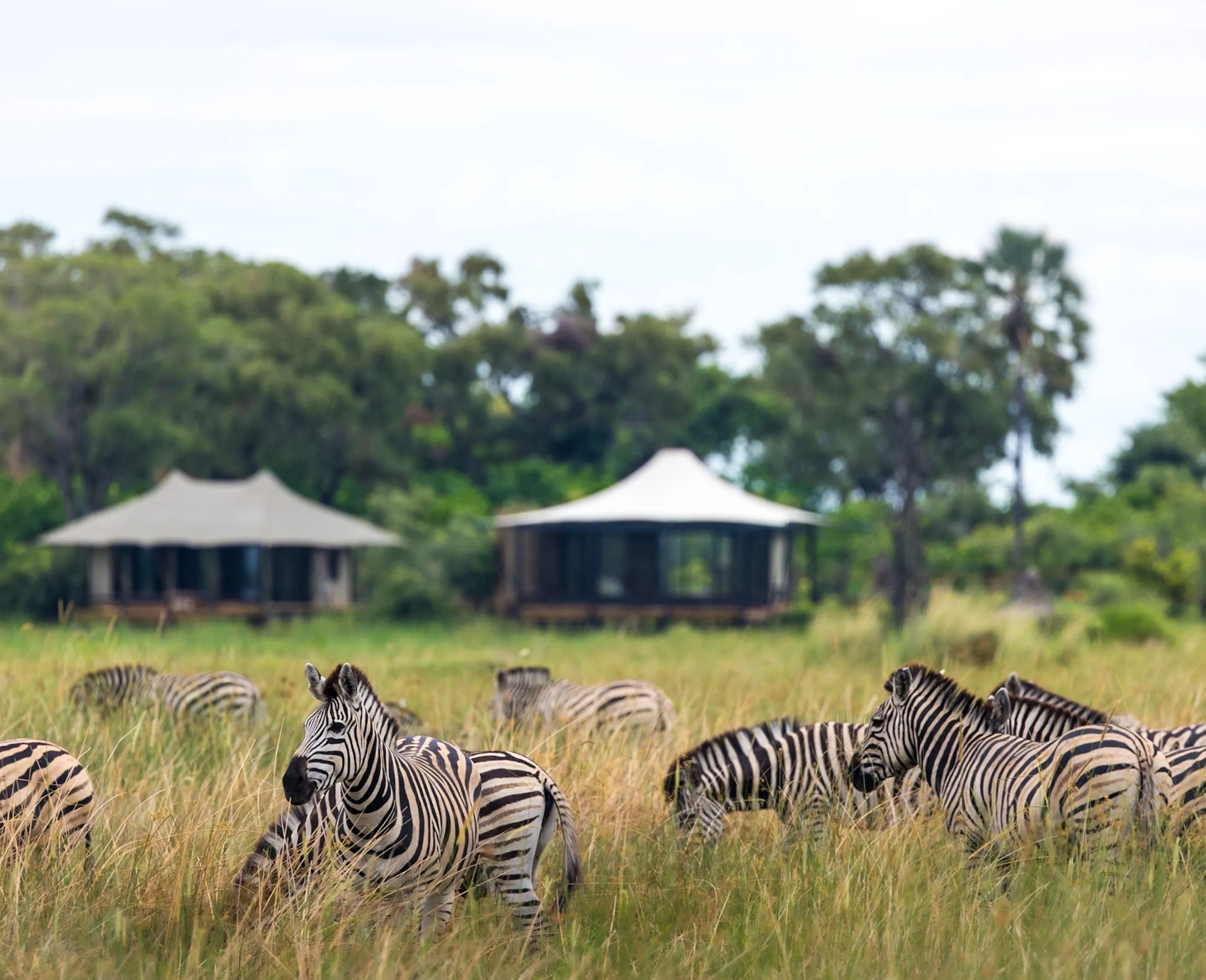 accommodation call to action bg img