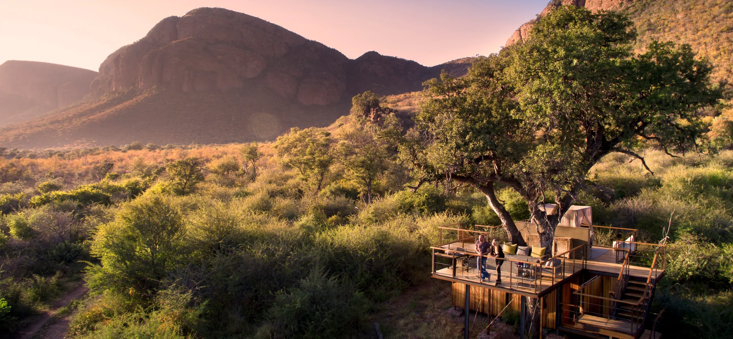 thabametsi treehouse
