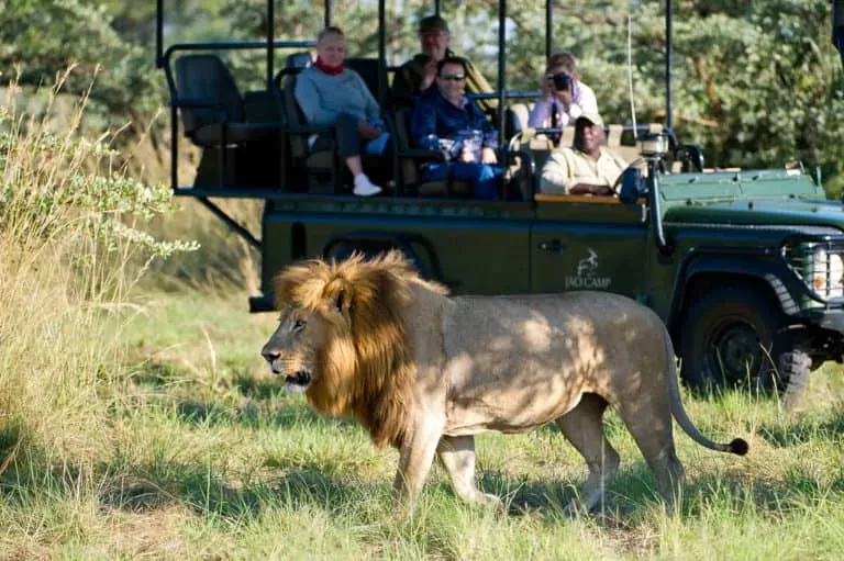 Morning and Evening Big Five Game Drives
