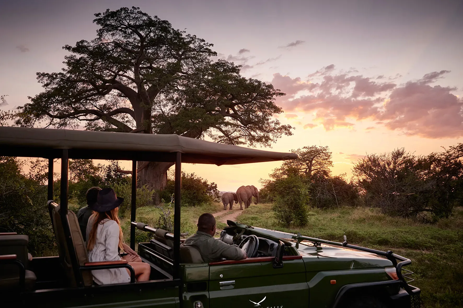 Safari vehicle with guests on a game drive at sunset under a large tree in the savanna