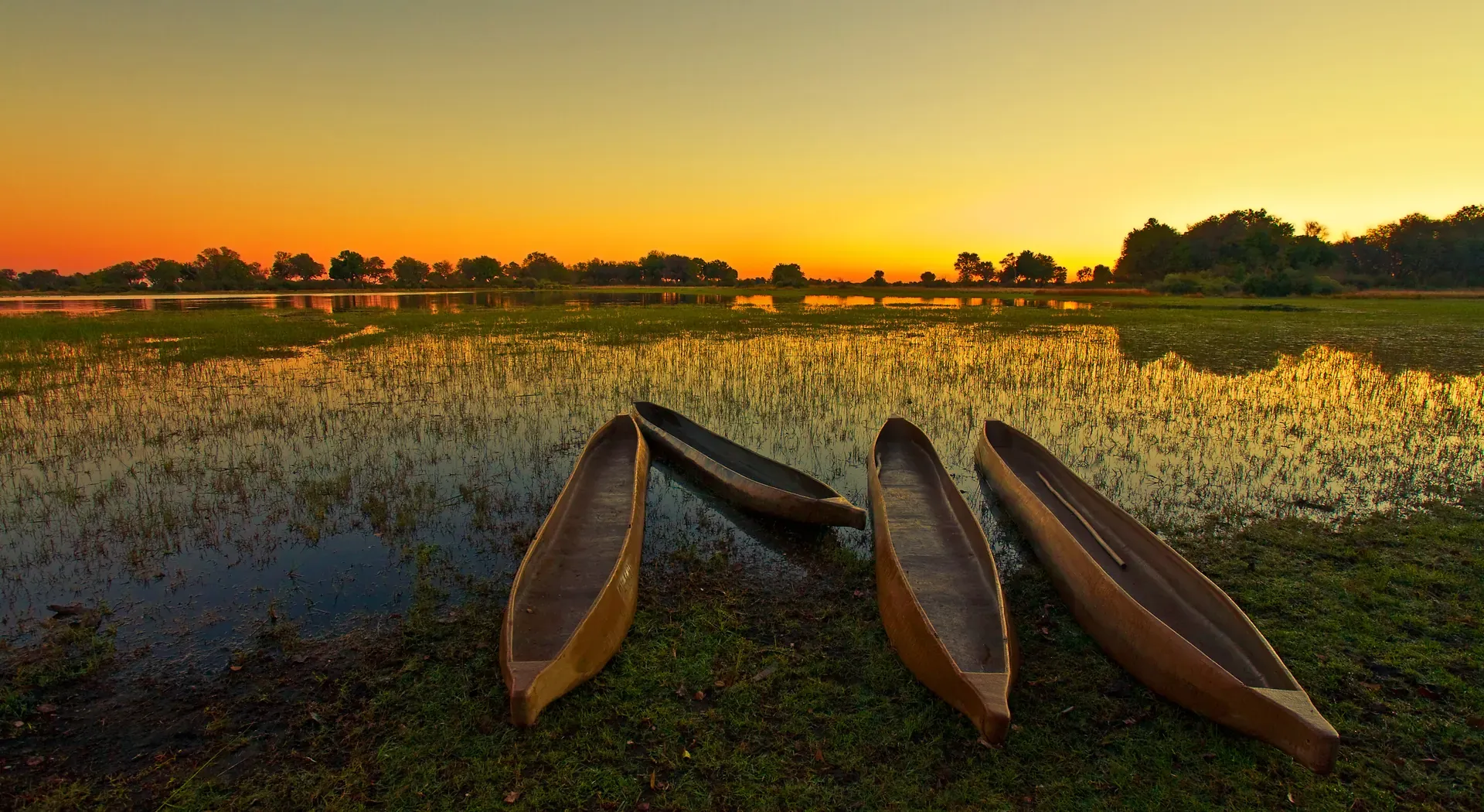 Traditional Mokoro Safari - Glide Through The Waterways