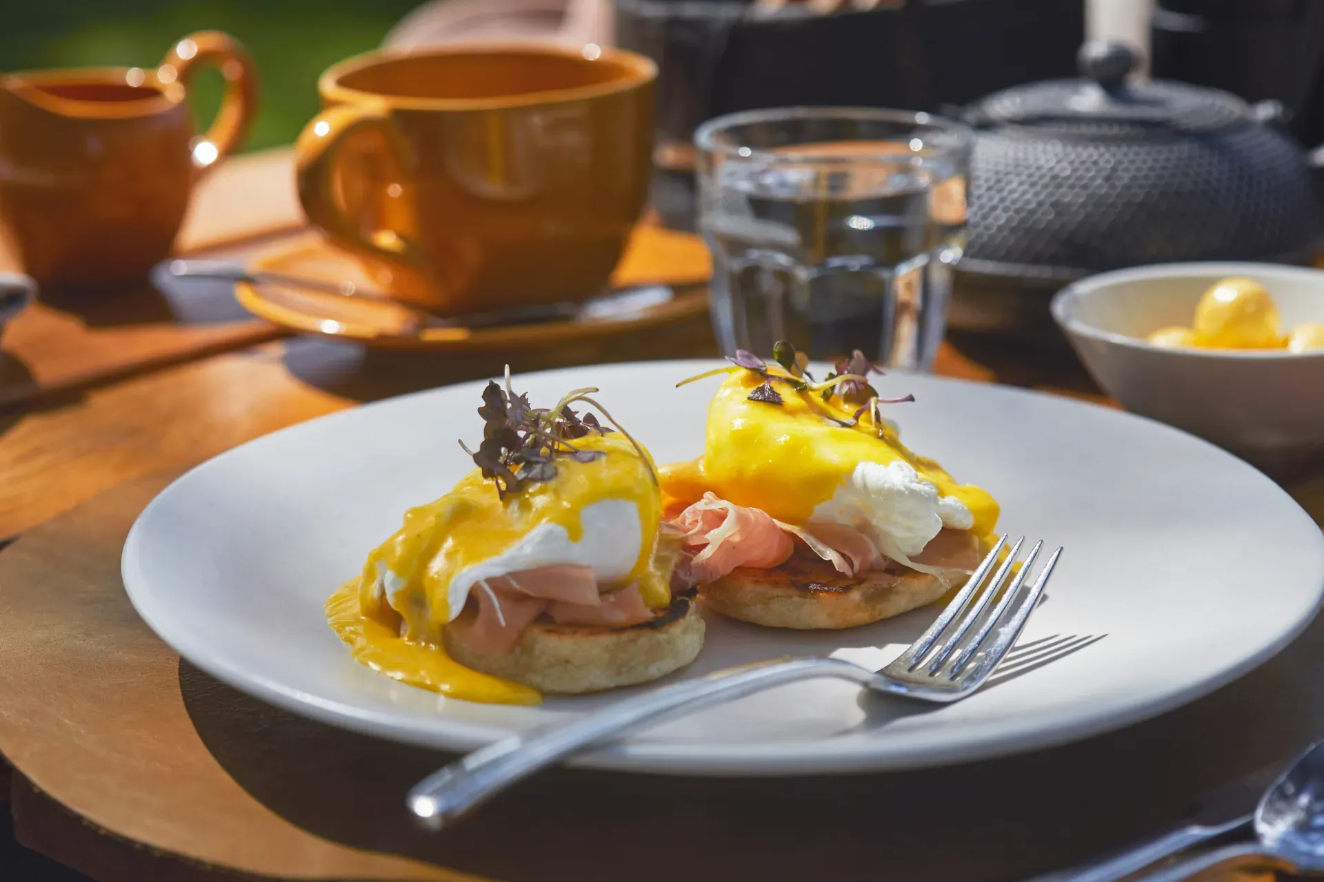 Gourmet safari breakfast at Marataba featuring eggs benedict with hollandaise sauce, fresh garnishes and beverages