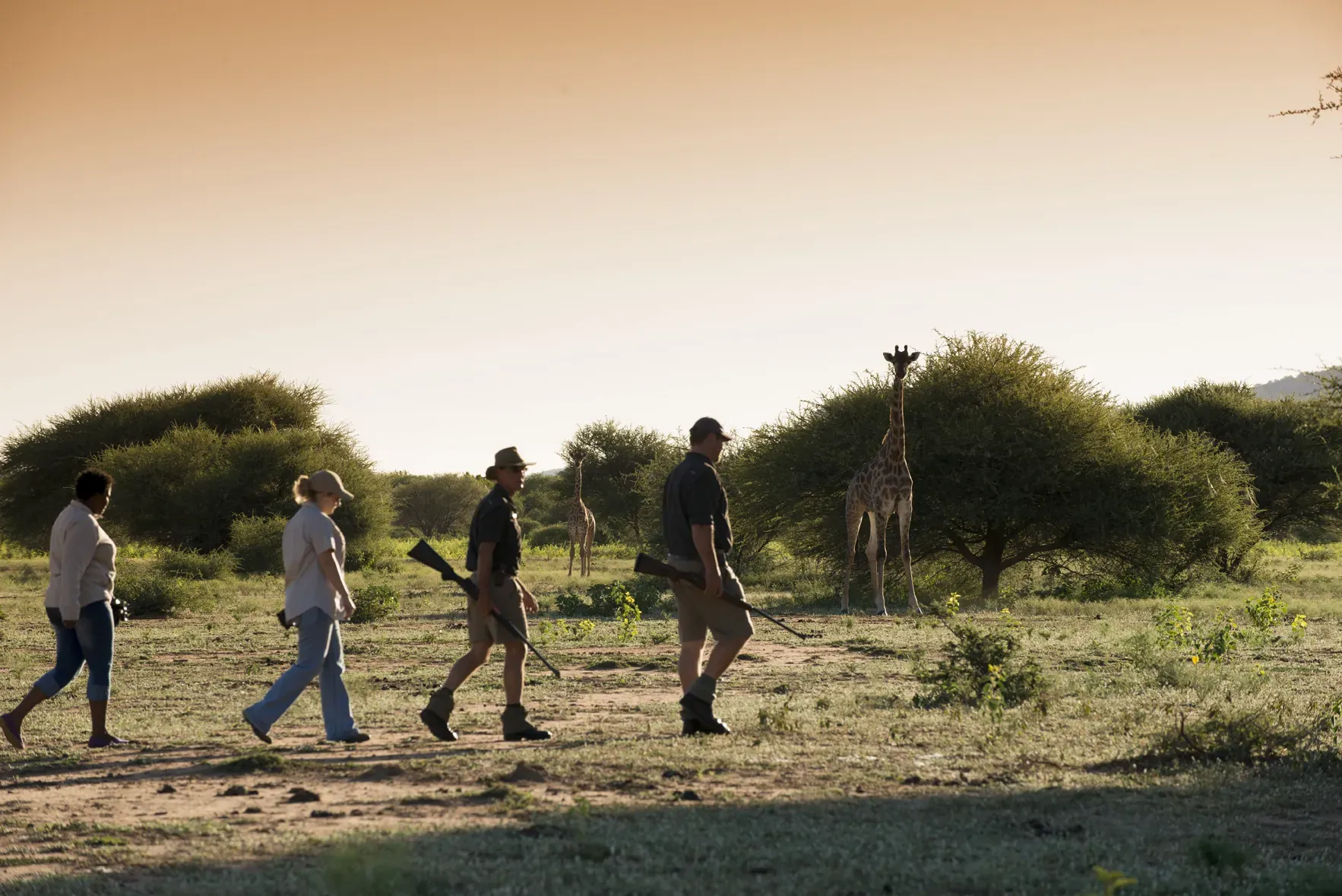 Bush Walk and Final Safari Adventures