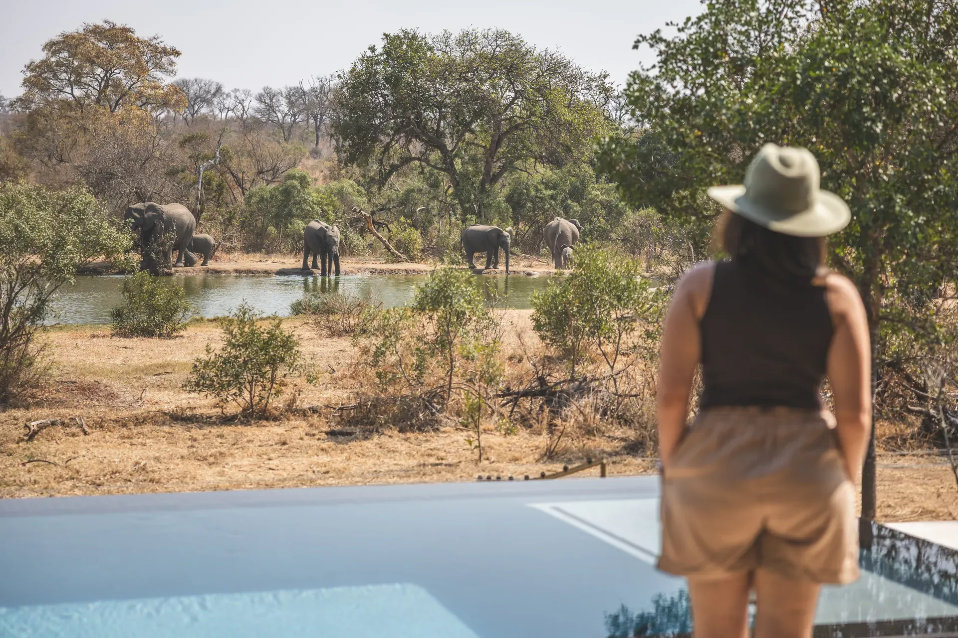 Guest being assisted into a vehicle for shared or private transfer near lush surroundings