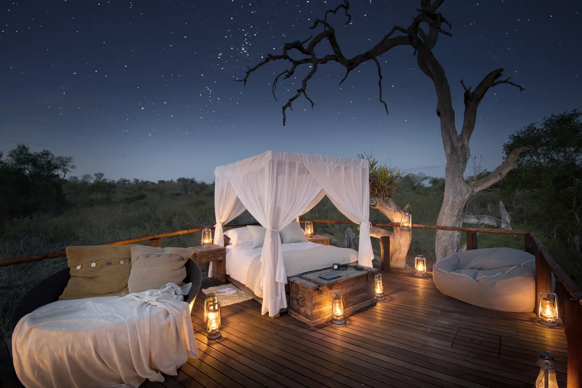 Evening view of Chalkley Treehouse with illuminated bedroom and starry night sky