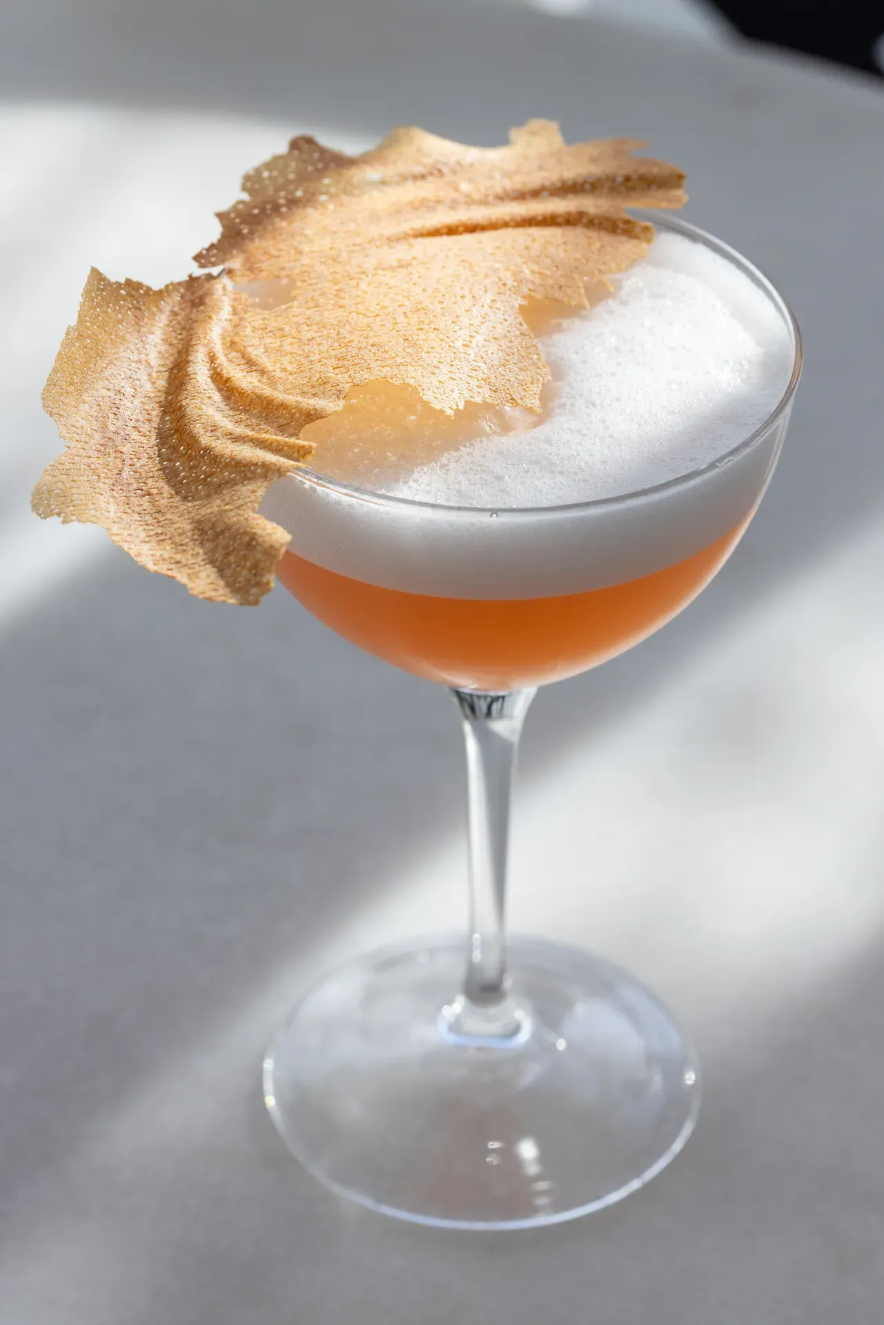 Main foreground image