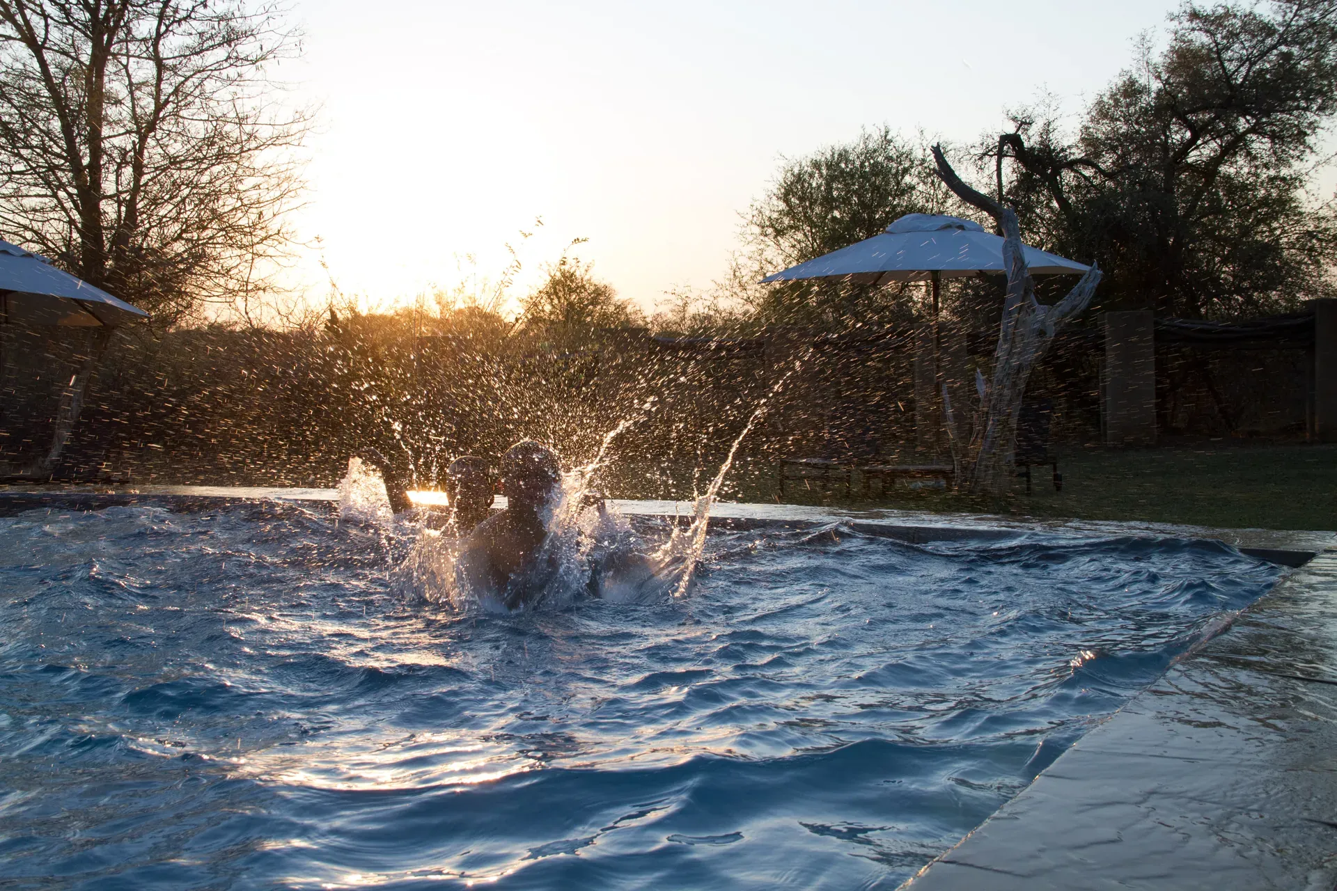 Children playing in the pool with bush views at Marataba.