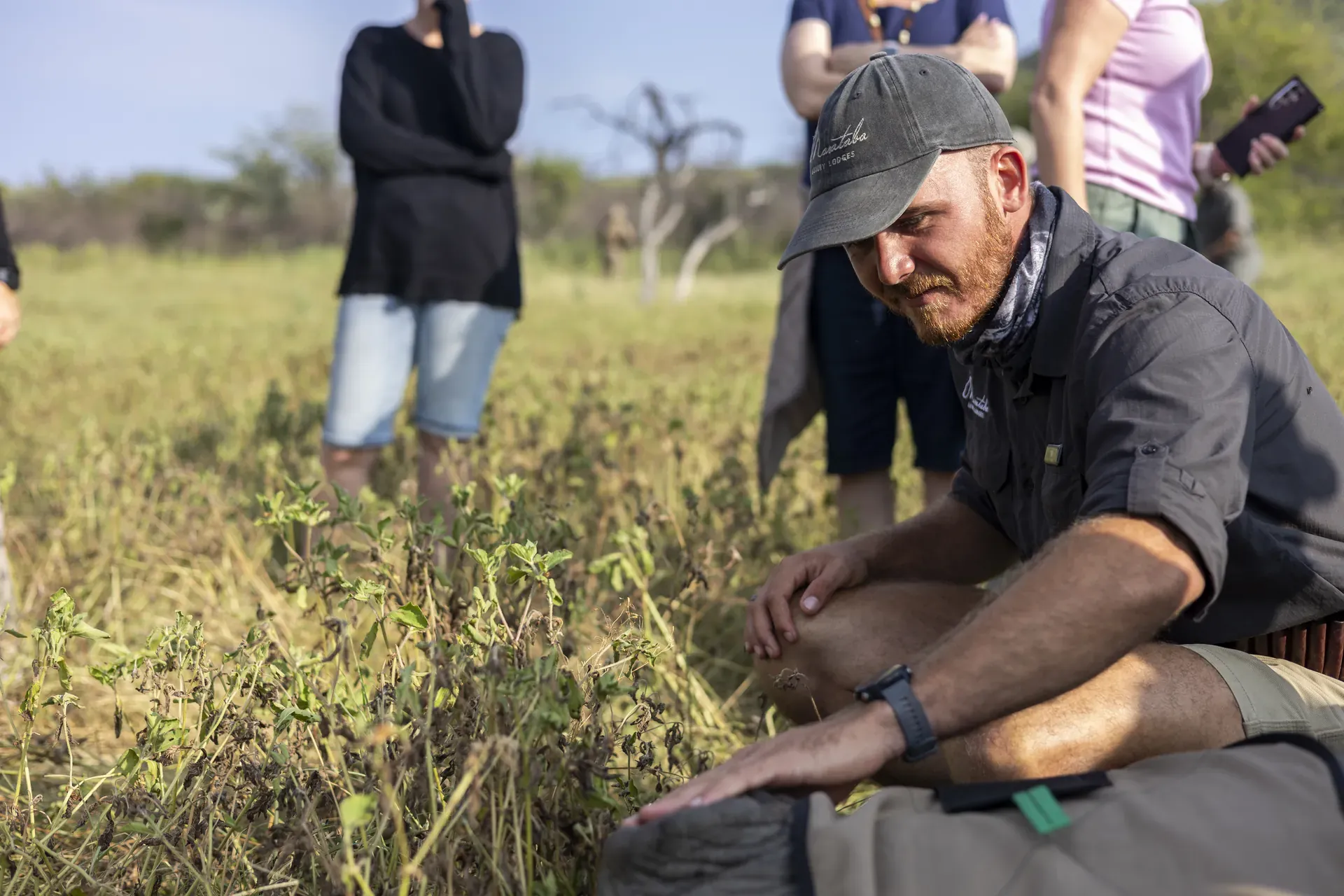Marataba – Ranger standing with a rhino during the conservation program.