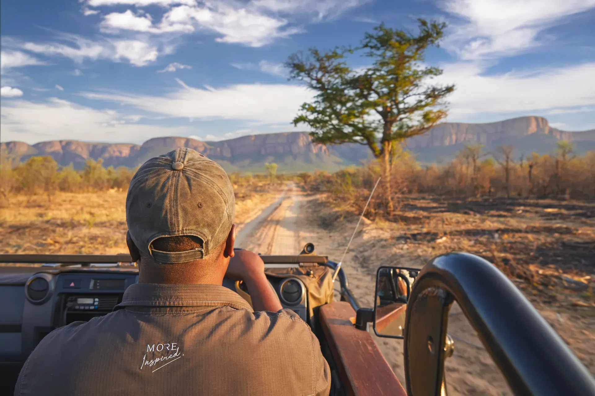 Wildlife storytellers