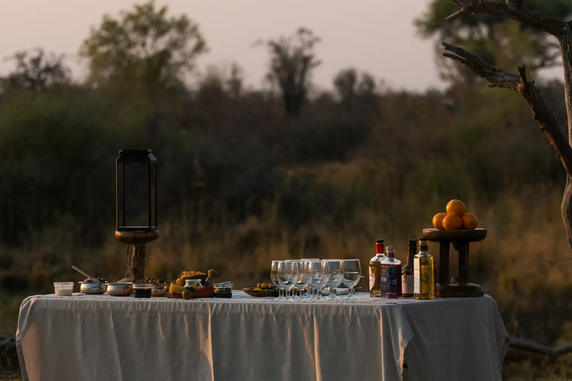 Main foreground image