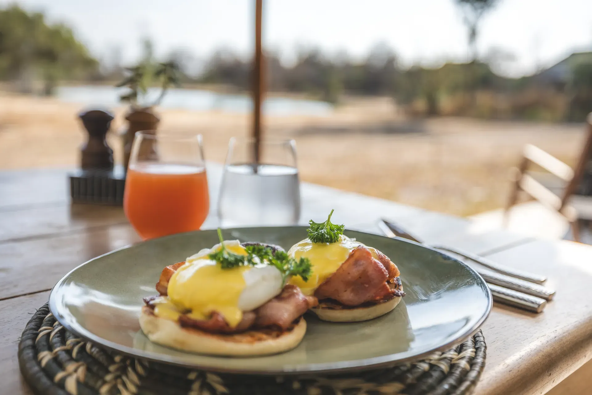 Plate of Eggs Benedict served at Monwana Lodge, with scenic views of the African bush in the background.