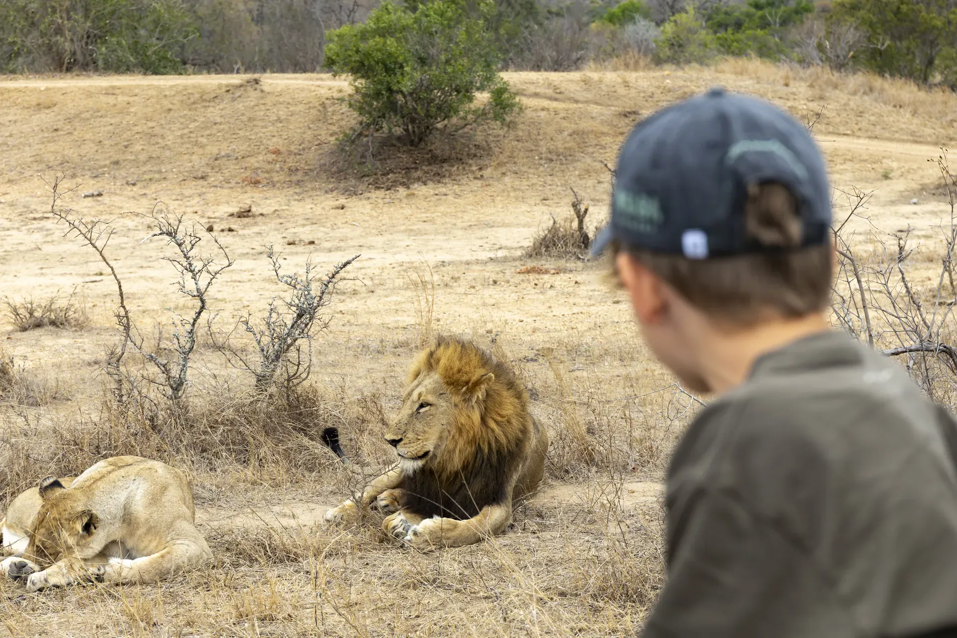 Main foreground image