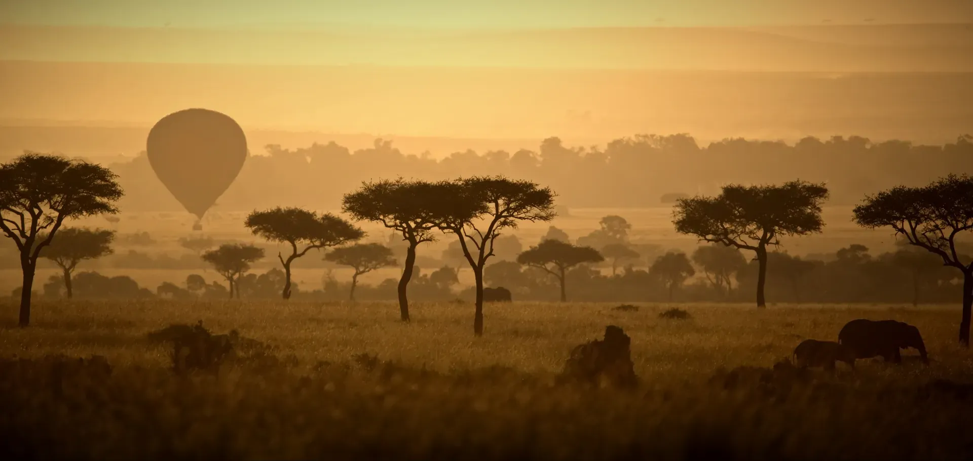 Hot air balloon dawn launch over the African bush
