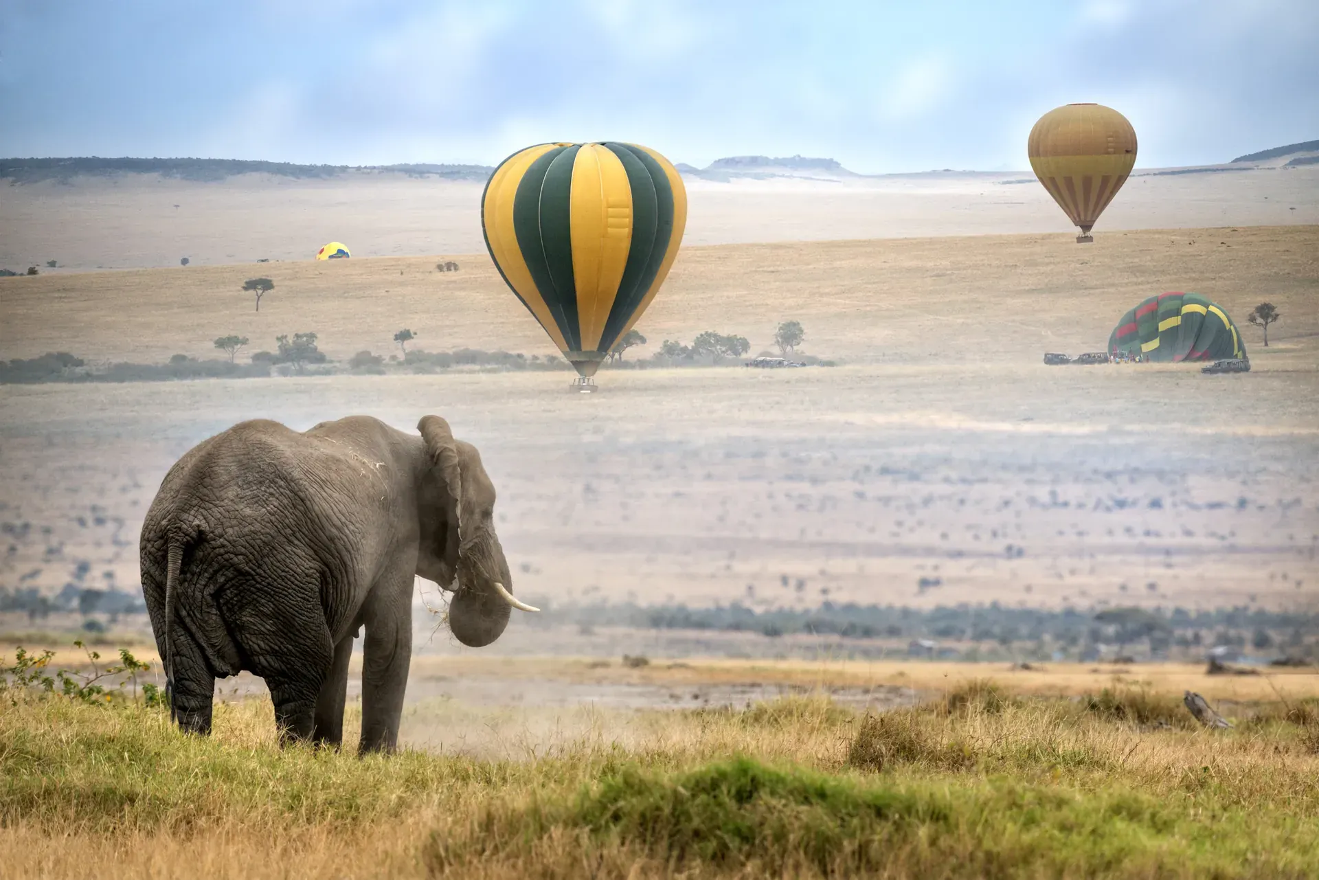 Hot air balloon flight at Monwana Lodge with views of elephants