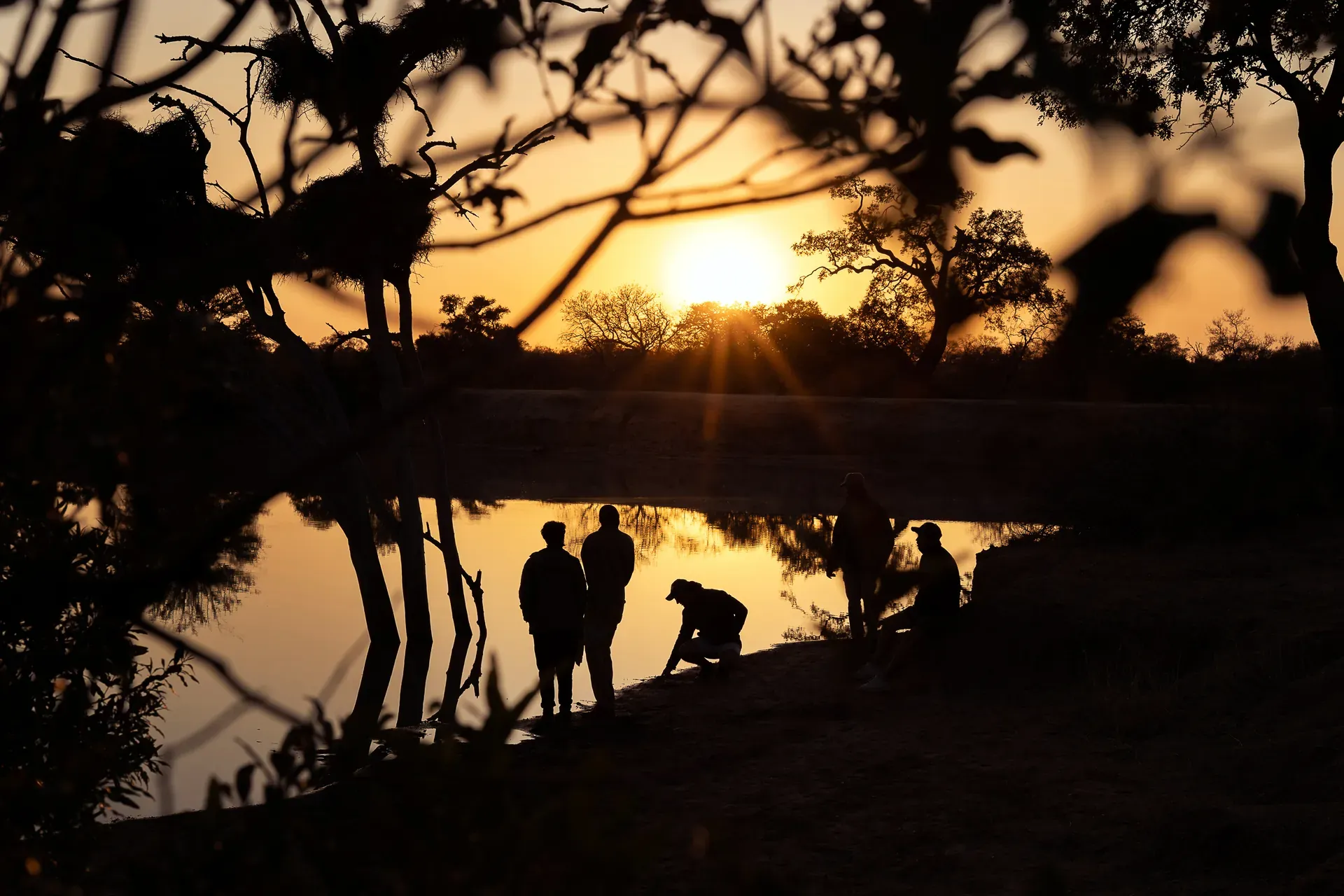 Sunset over the African bush during a safari at Monwana Lodge.