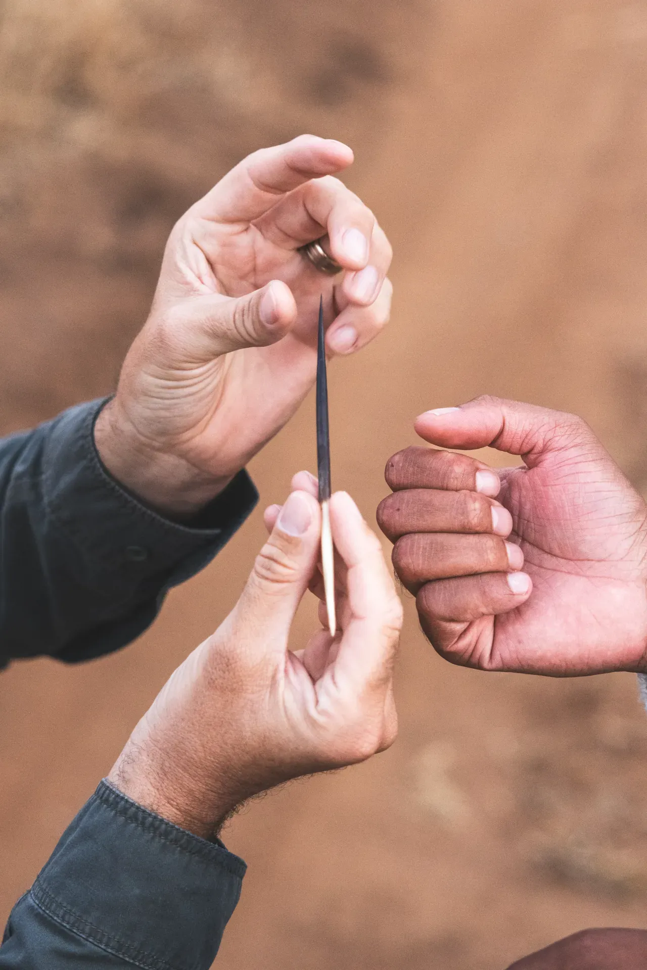 Guide - Wildlife Story Tellers