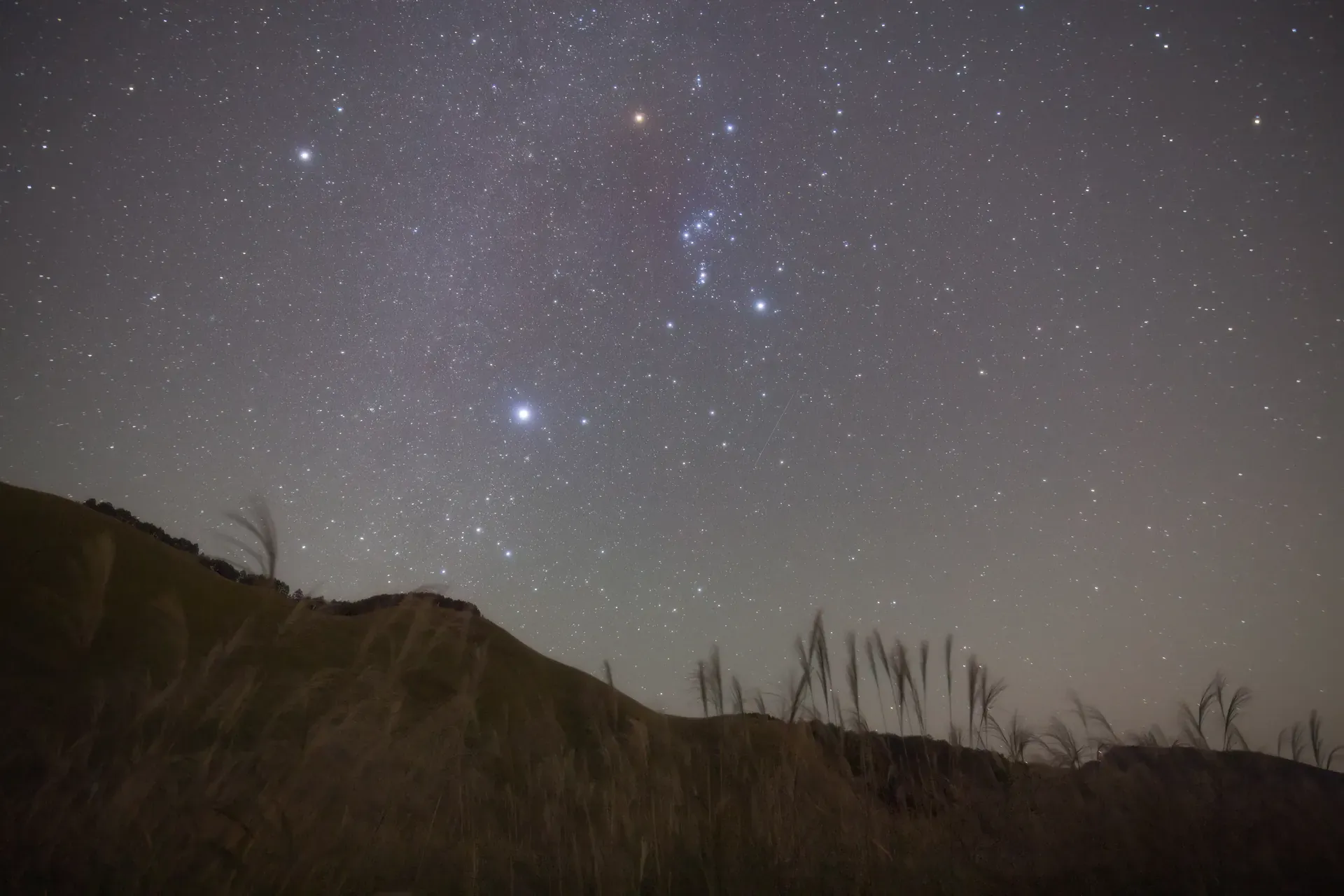Stargazing in the African bush at Monwana Lodge.