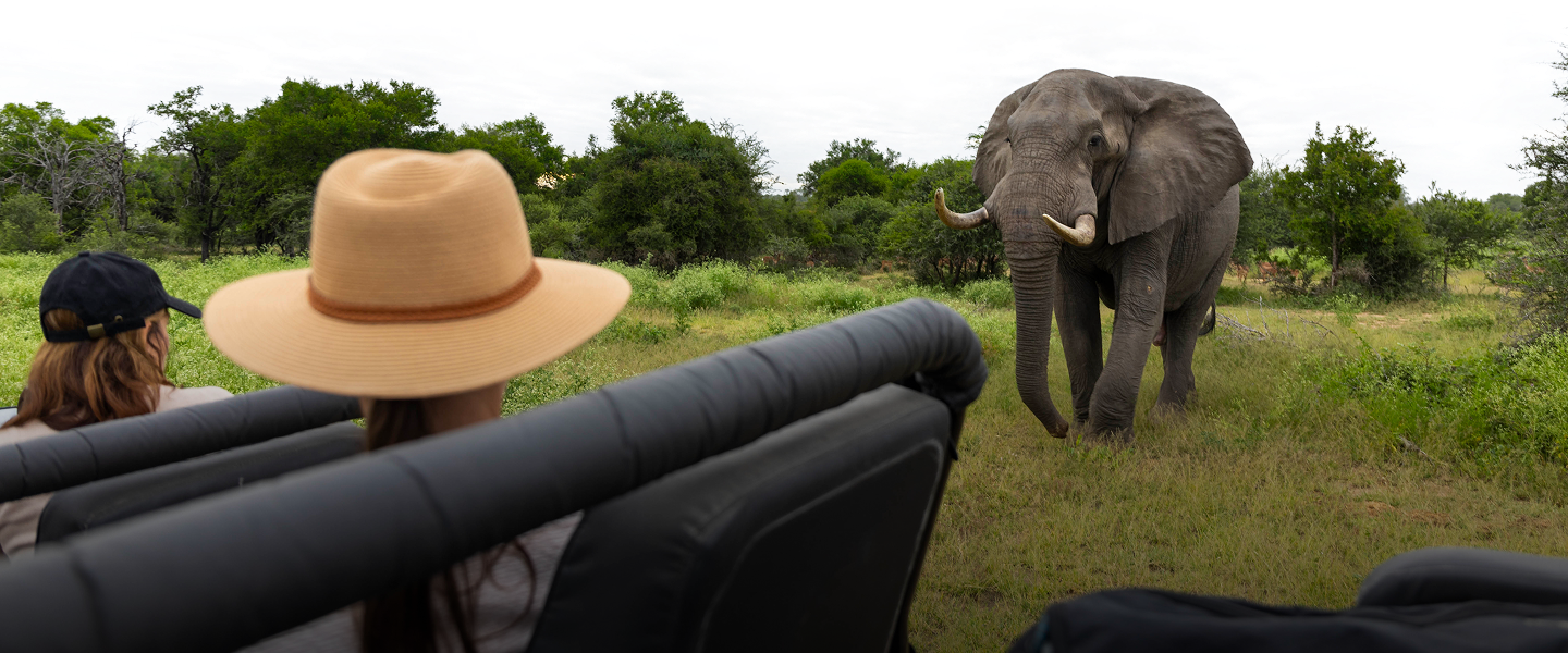 Showcase background image