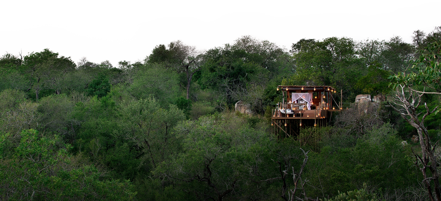 Showcase background image