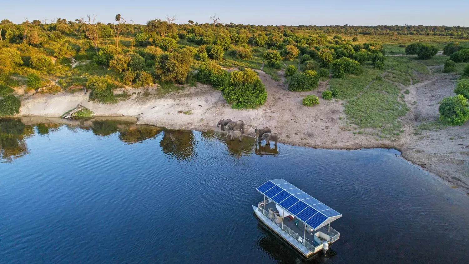 Morning Game Drive and Afternoon Chobe River Safari