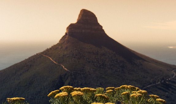 Cape Town Hikes - carousel 1.