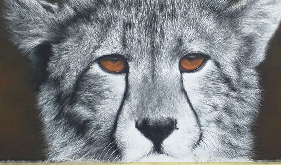 Harmony - carousel 2