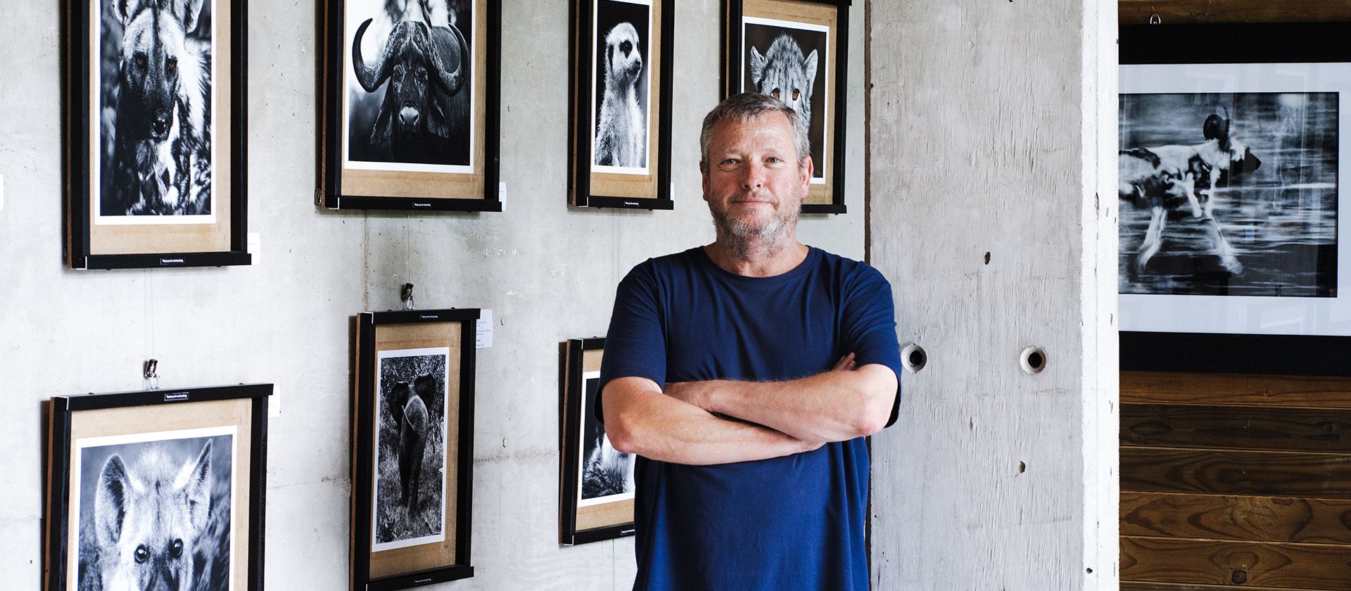 Harmony - carousel 3