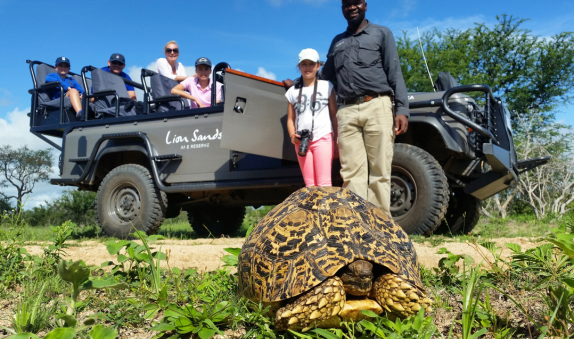 Blog post banner image