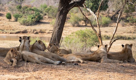 Blog post banner image