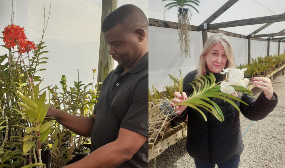 Allure of Orchids - carousel 1