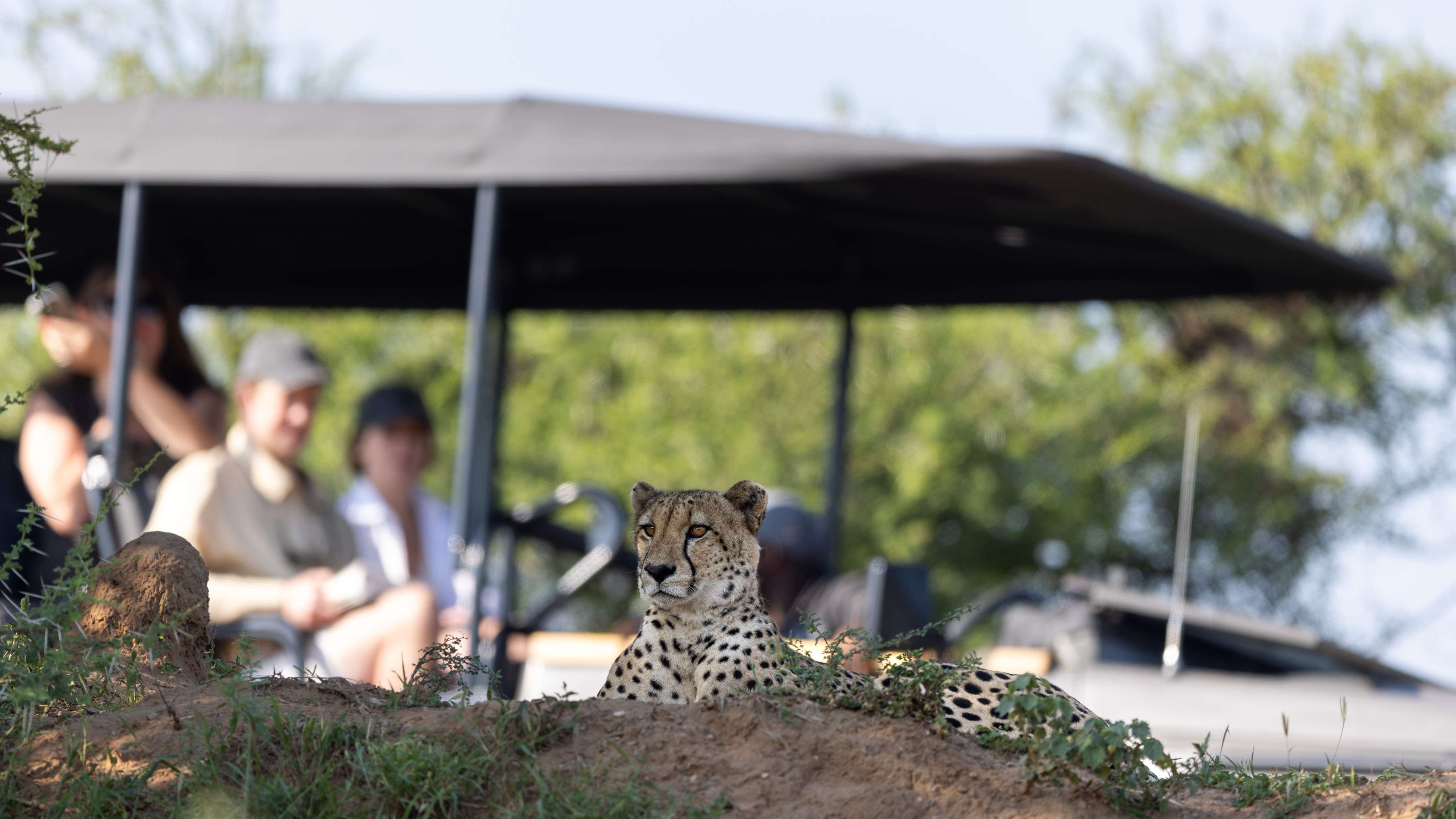 Friends of More Gallery Image