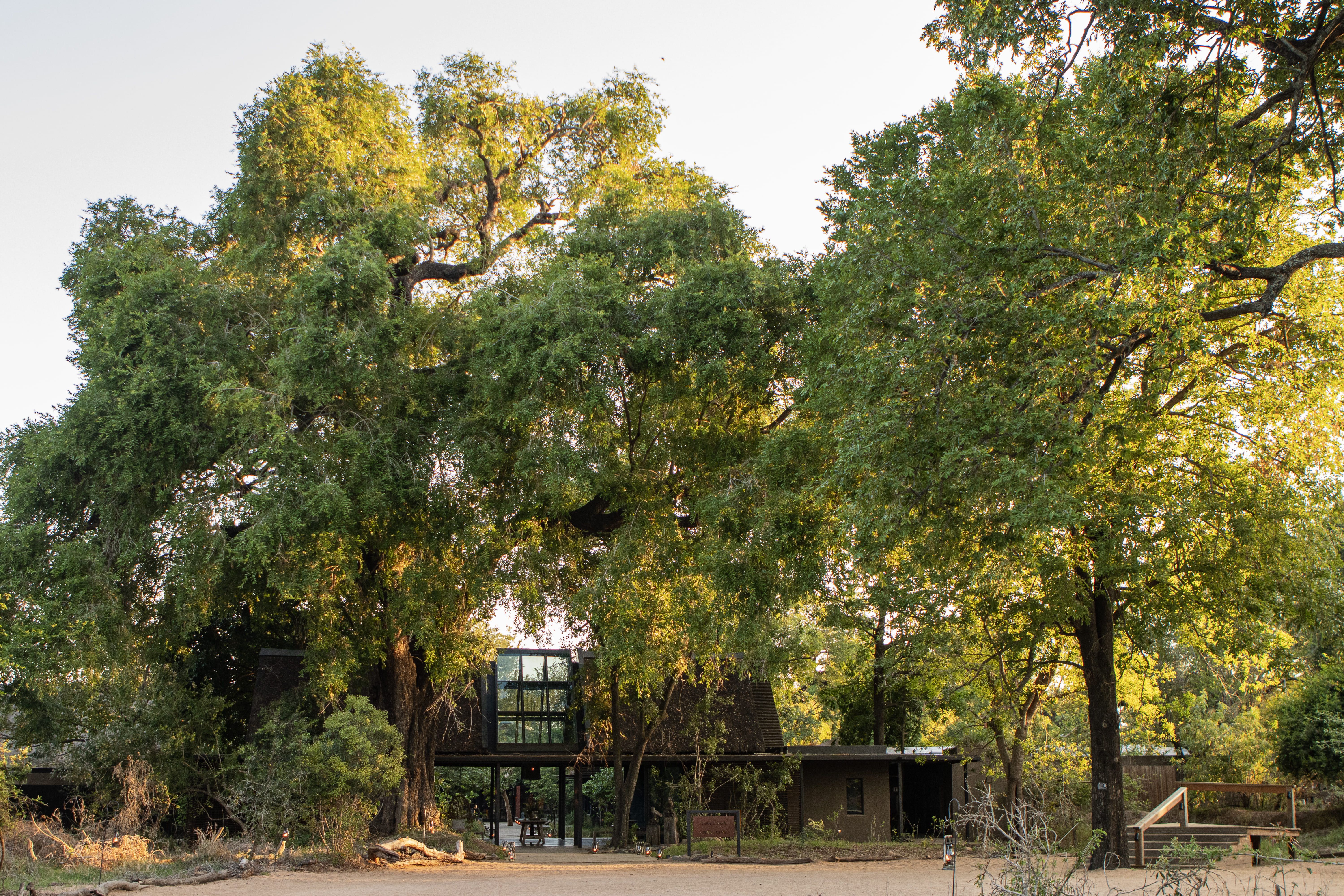 Showcase background image