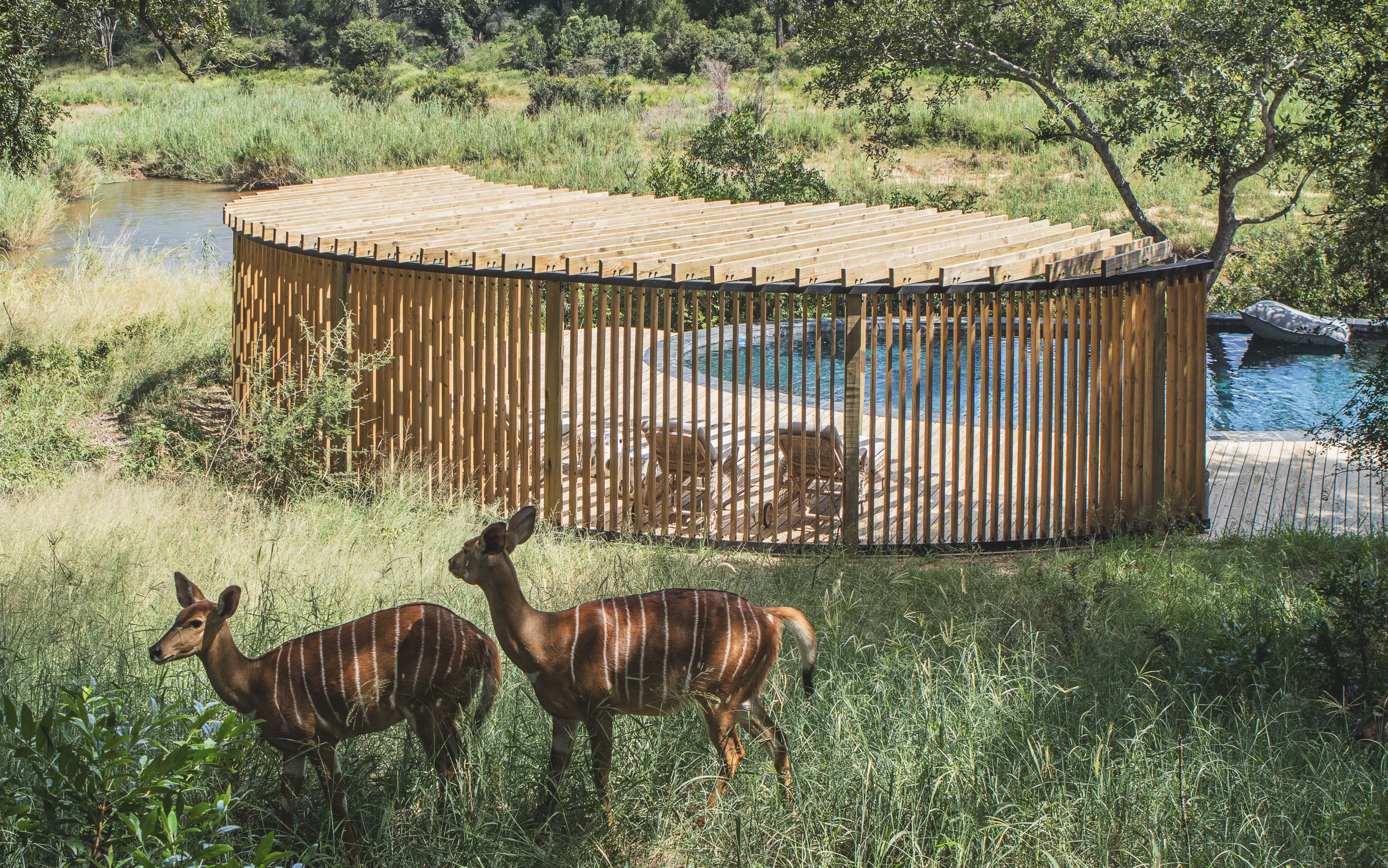 Lion Sands Game Reserve