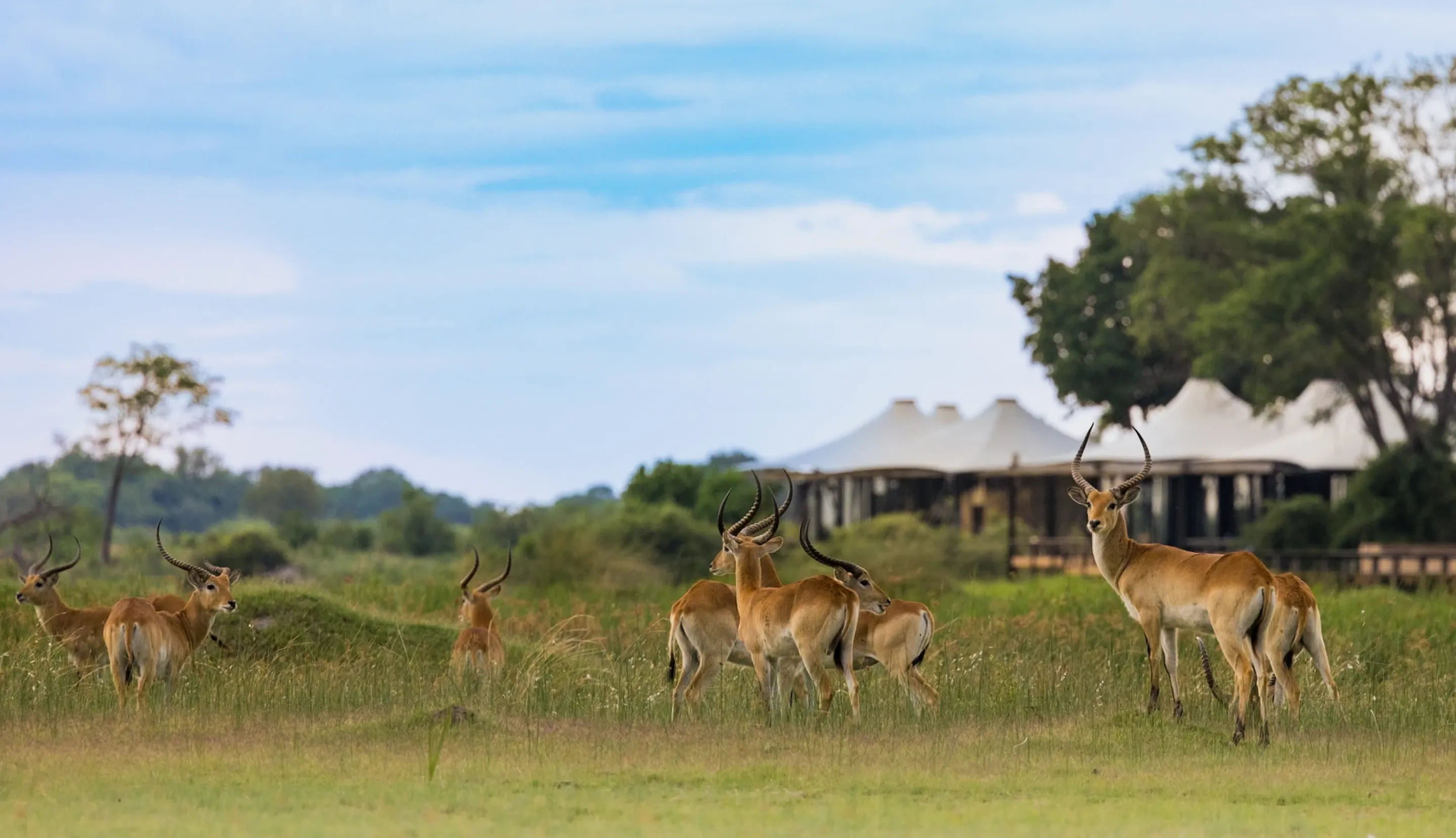 living among wildlife sustainably