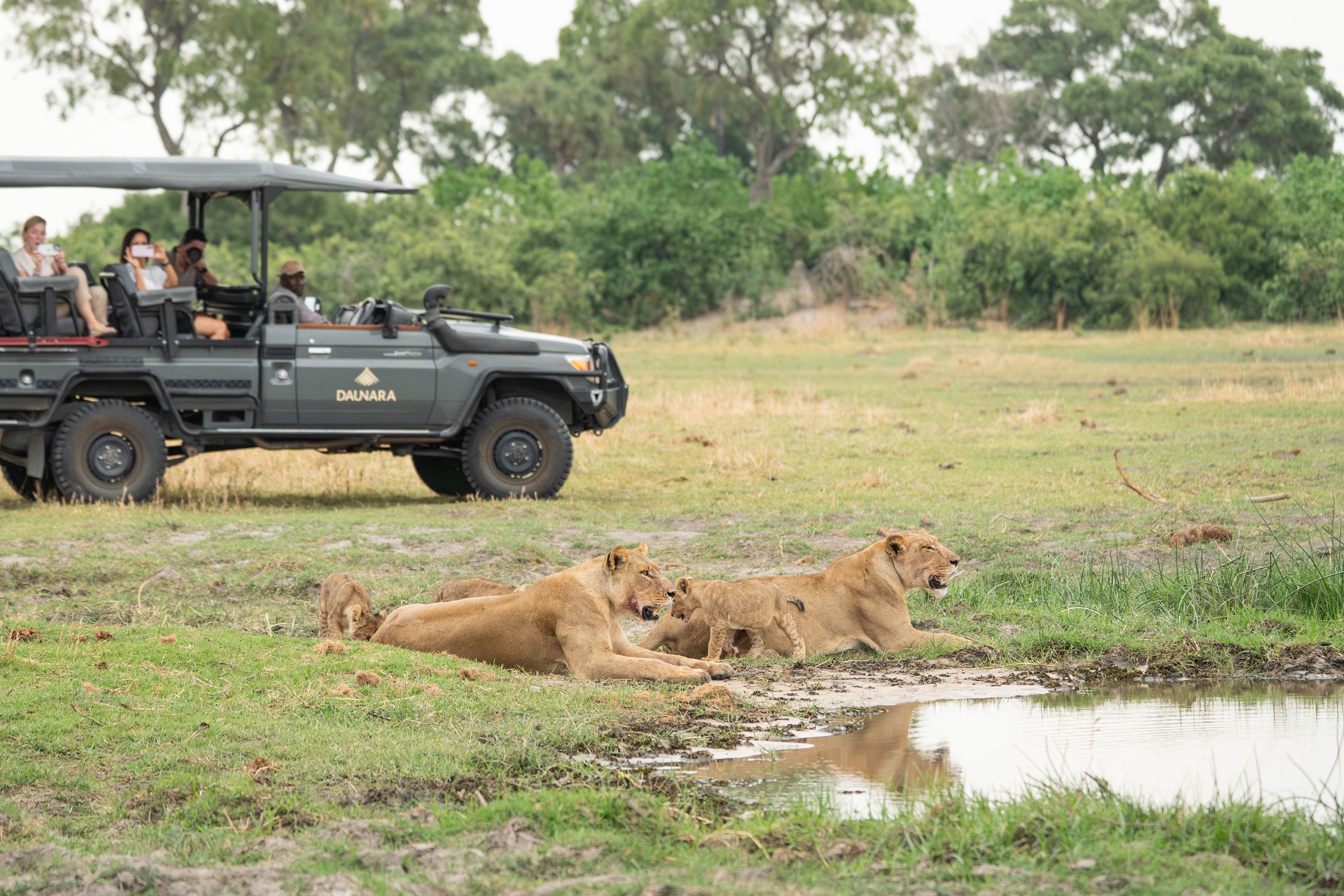 lions-vehicle-5