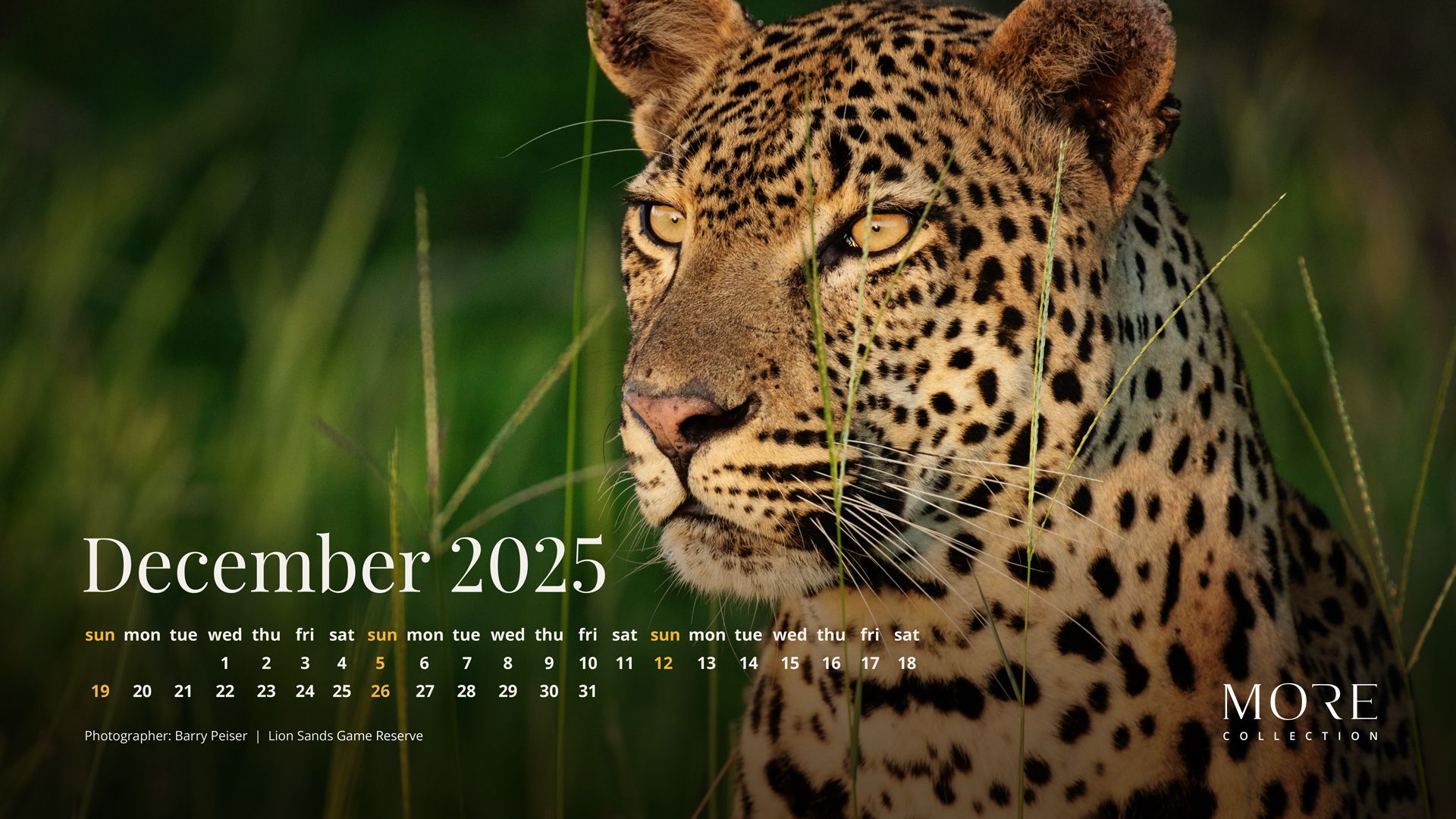 Calendar December 2025