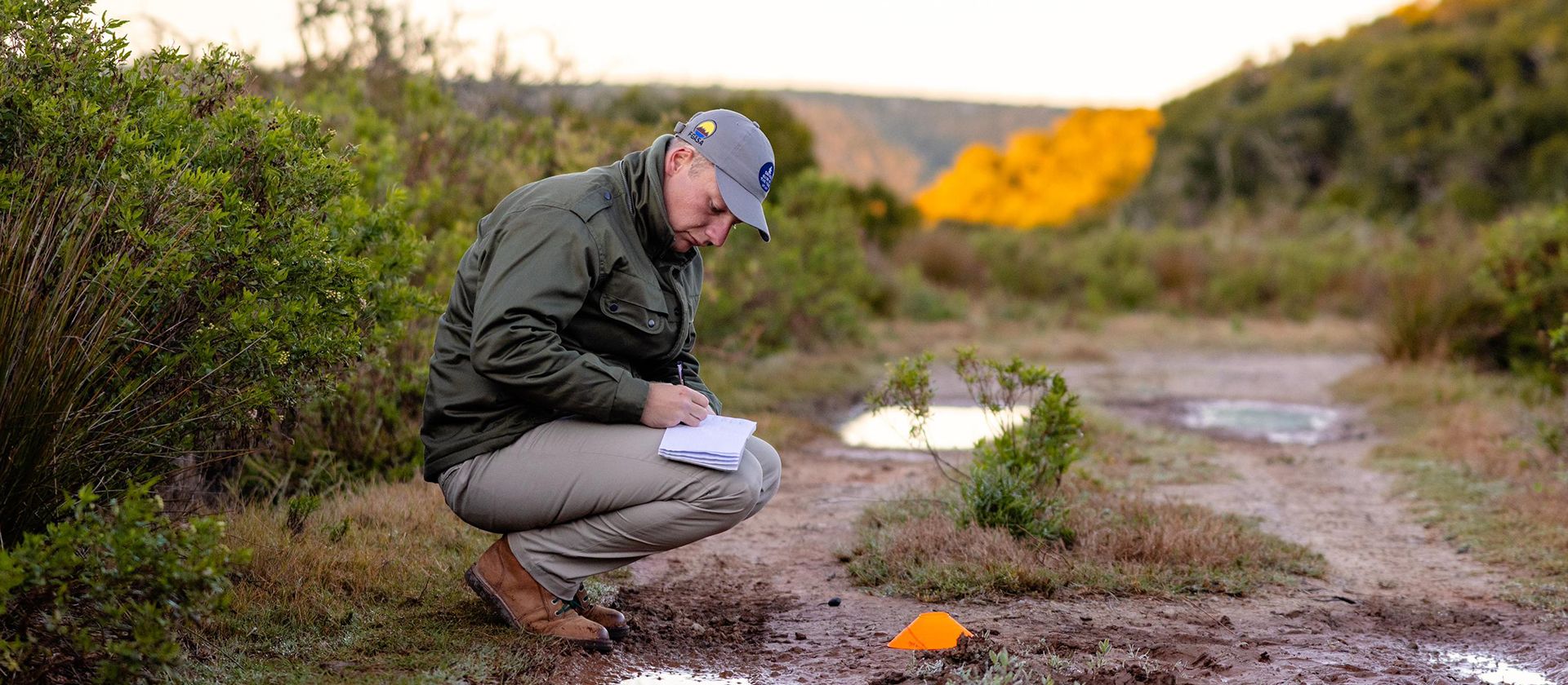 Safari Field Guide Award - Jason Gipson - June 2025 - Middle Banner