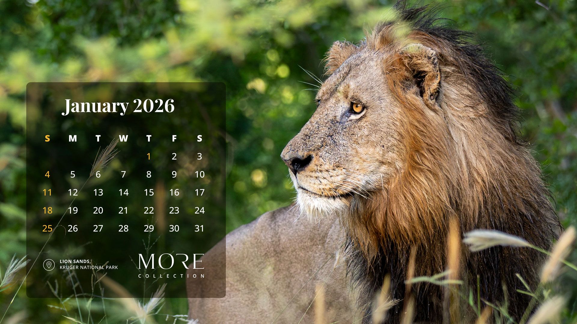 January Desktop Calendar