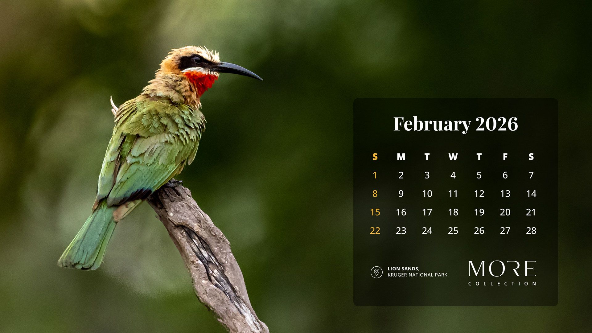 February 2026 Desktop Calendars