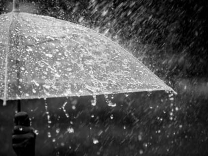 В понедельник в Московской области ожидается «тропический дождь»
