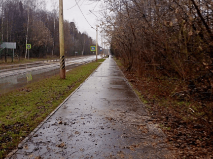 Коммунальные службы Дубны убрали упавшее дерево