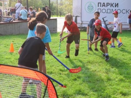 Безопасность на дорогах: акция в Лобне