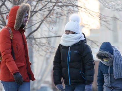 Крепкие морозы охватят Московский регион на Рождество