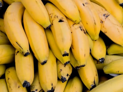 Неврологические заболевания: новые подходы к лечению