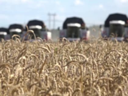 Россия продолжит участие в зерновой сделке при учете ее интересов