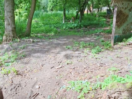 Доступ к реке в Звенигороде восстановлен