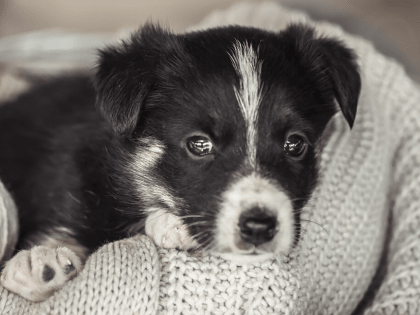 Новые инициативы в области здравоохранения в Москве