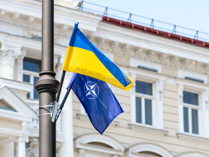 Политик Янг: Роспуск НАТО — это лучший исход для Украины