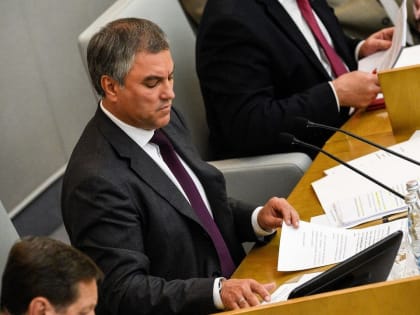 Вячеслав Володин предложил исключить врачей из системы здравоохранения